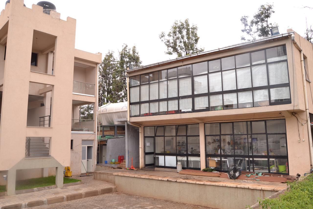Grand Gato Hotel And Tours Harar Dış mekan fotoğraf